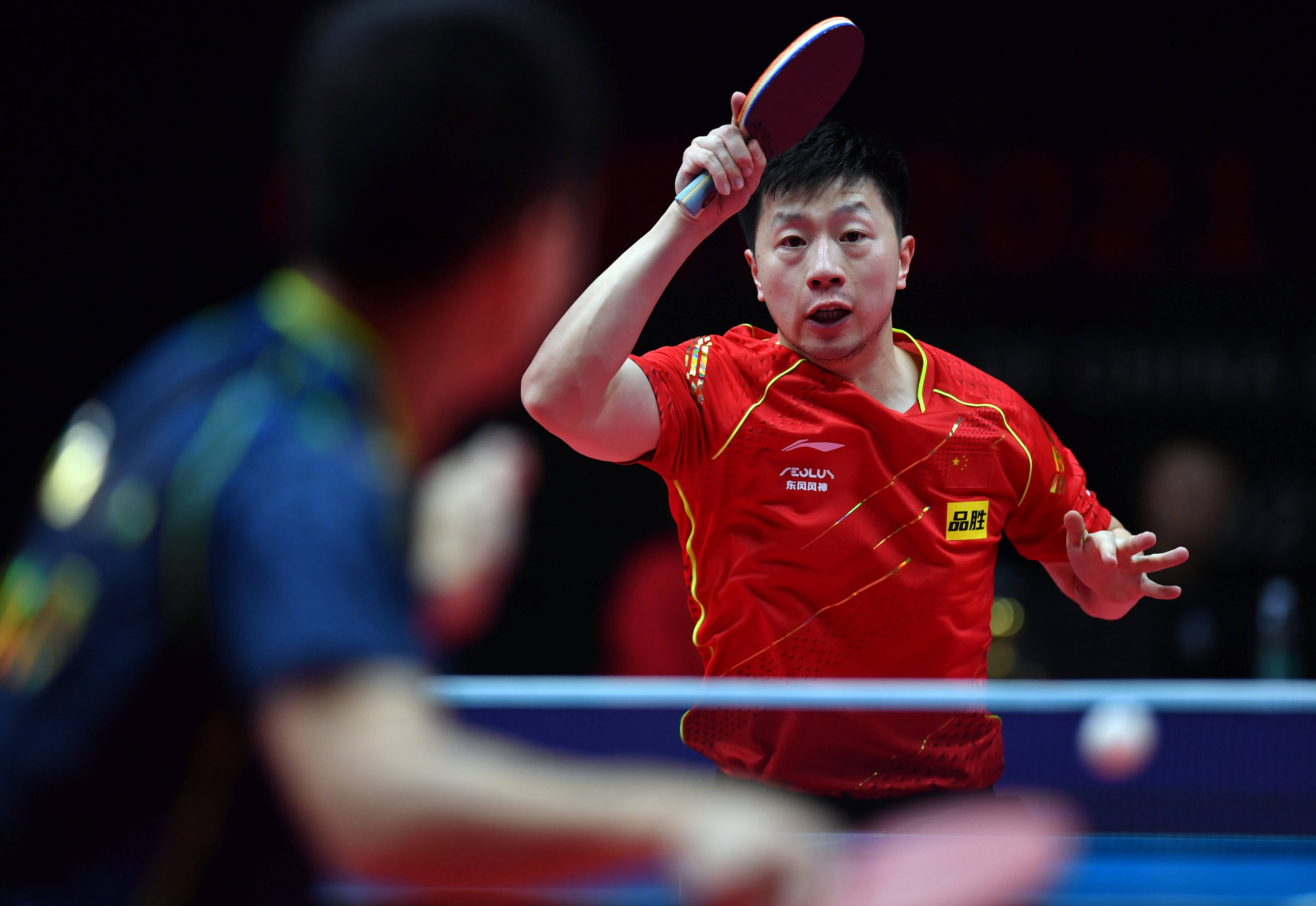 育明星的参 育明星的参